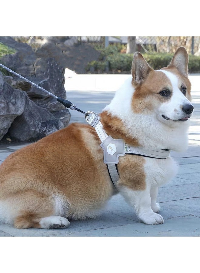 حزام للكلاب الصغيرة والمتوسطة، مقود للجراء مع شرائط عاكسة، حبل أمان للجراء بطول 4.92 قدم مع سترة مبطنة ناعمة قابلة للتعديل (سترة صفراء على شكل حرف Y مع حبل، مقاس صغير (8.82-22.05 رطل) - Image 5