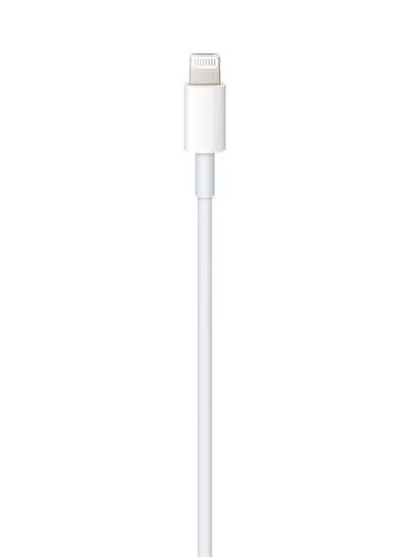 Apple USB-C To Lightning Cable - 1 Meter for Apple iPhone White  - Image 2