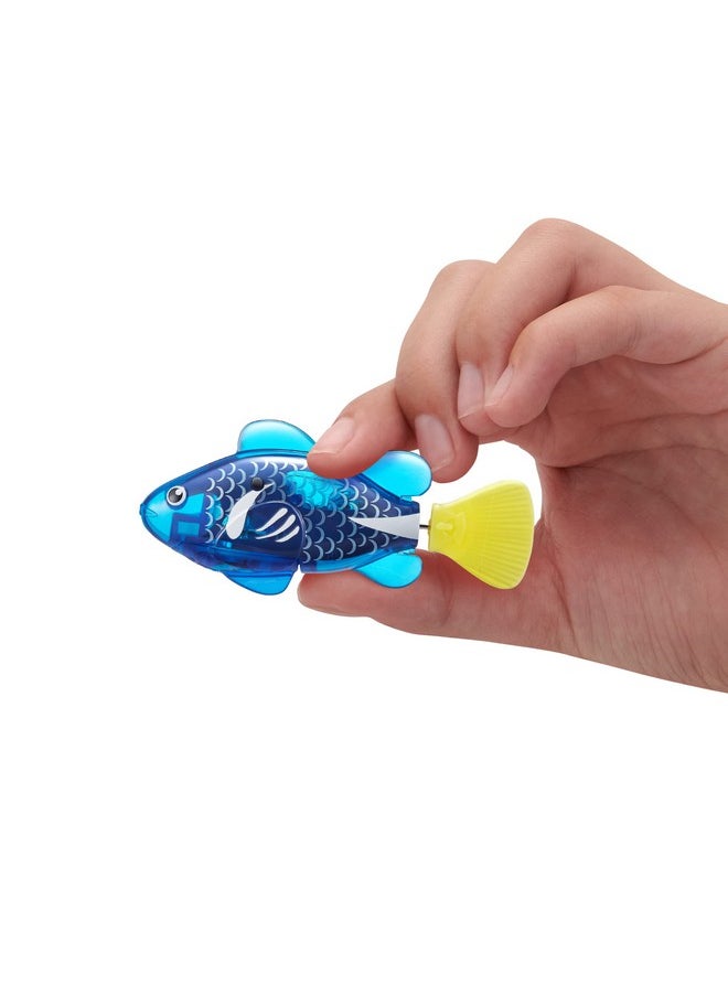 ROBO ALIVE Robo Alive Robo Fish Robotic Swimming Fish (Blue + Red) by ZURU Water Activated, Changes Color, Comes with Batteries, Amazon Exclusive (2 Pack) Series 3  - Image 3