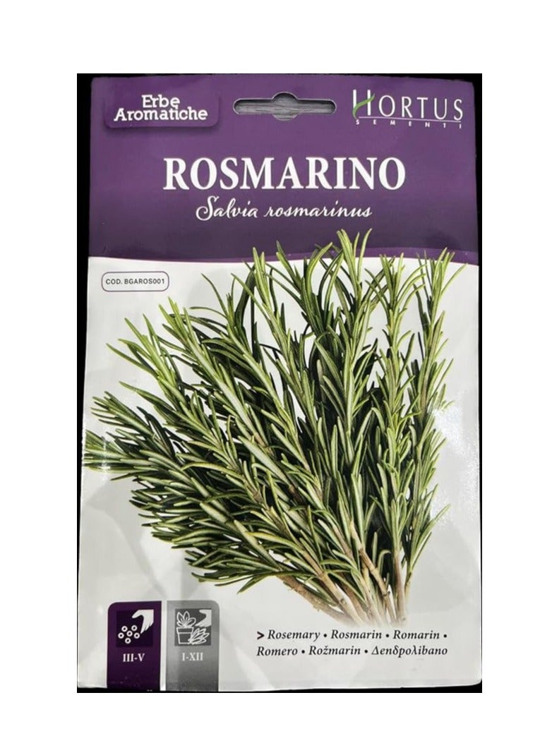 Generic Rosemary Premium Quality Seeds Italy Herb seeds Hair oil | Seeds 