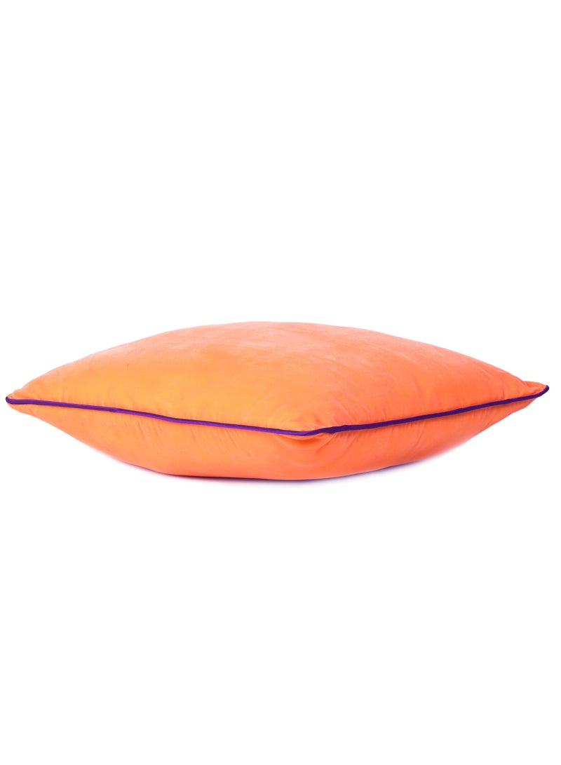 ريارا غطاء وسادة مزخرف عصري مخملي لغطاء وسادة لغرفة المعيشة وسرير وكرسي مكتب، مجموعة من قطعتين (20 × 20 بوصة)  - Image 4