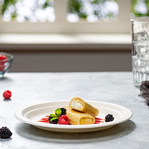Gusto Comfy Package 100% Compostable 9 Inch Heavy-Duty Plates [125 Pack] Eco-Friendly Disposable Sugarcane Paper Plates, White - Image 3