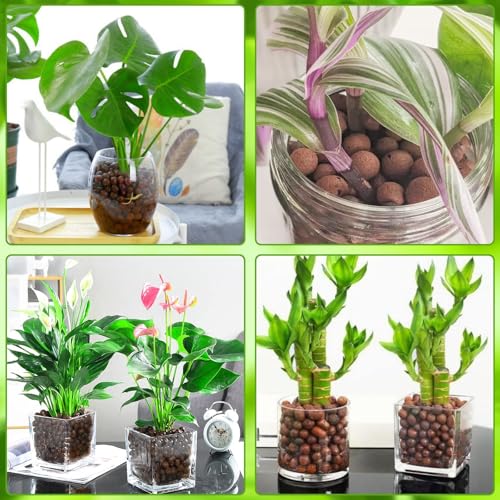 Halatool 8LB Clay Pebbles for Plants 4mm-16mm Lightweight Hydroton Leca Balls for Indoor Potted Plants Hydroponics Gardening Orchids Drainage Decoration Aquaponics - Image 5