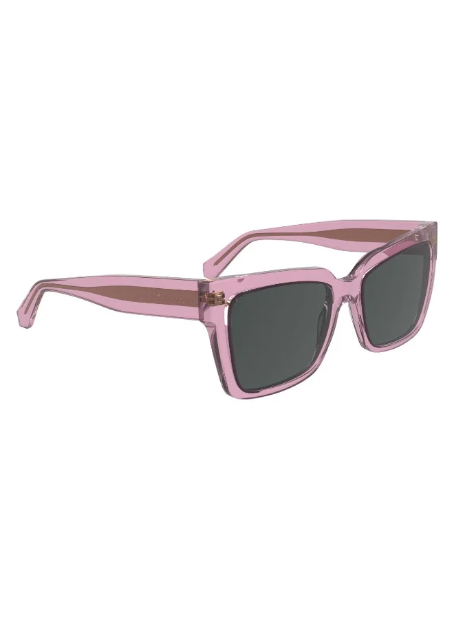 Calvin Klein Jeans  FULL RIM ACETATE CALVIN KLEIN JEANS SUN CKJ24606S  | Best Price UAE