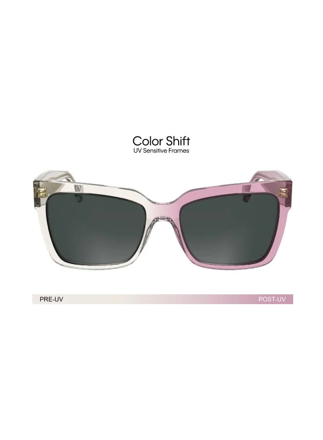 Calvin Klein Jeans  FULL RIM ACETATE CALVIN KLEIN JEANS SUN CKJ24606S  | Best Price UAE