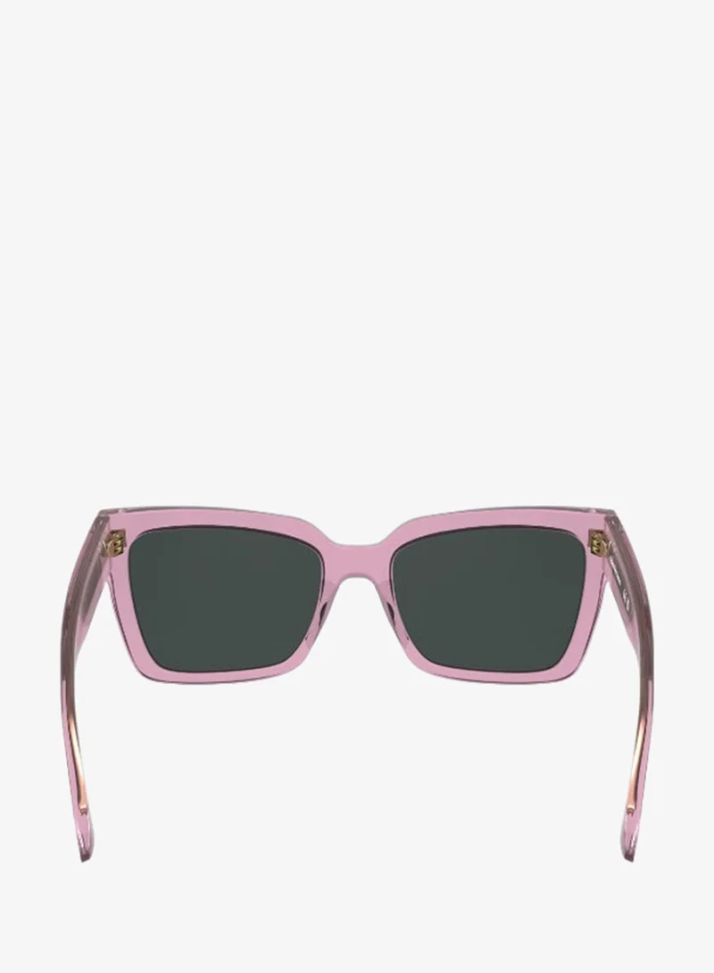 Calvin Klein Jeans  FULL RIM ACETATE CALVIN KLEIN JEANS SUN CKJ24606S  | Best Price UAE