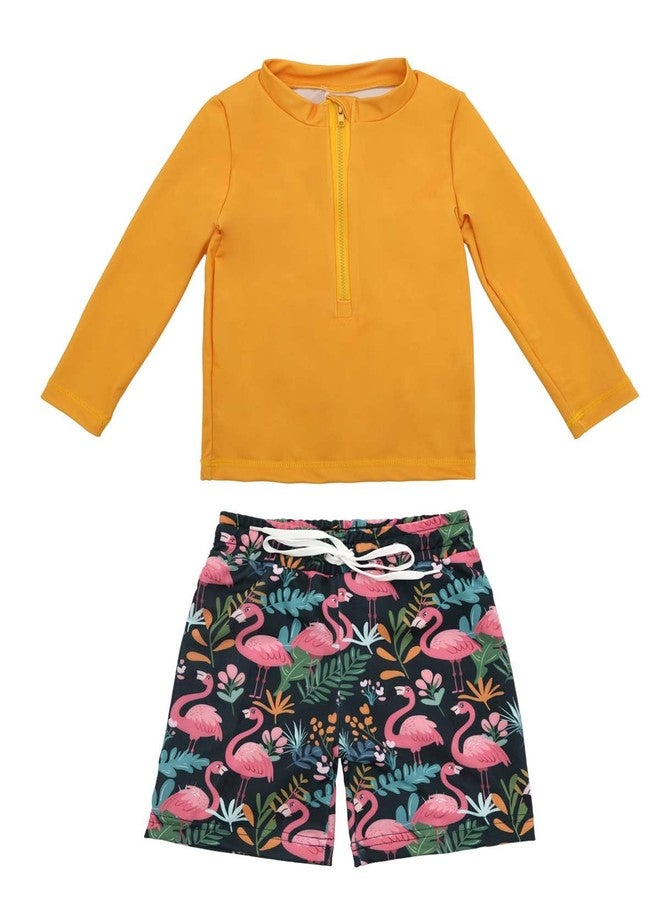 ALVABABY Long Sleeve Rashguards, Baby/Toddler Boys' Rash Guard Sets,Boy Swimsuit UPF 50+ Sun Protection Two Piece Bathing Suit ST-R13-12-18M - Image 1