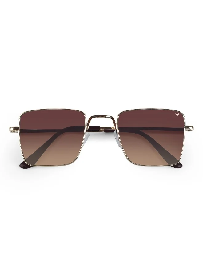 Woggles UV- Protected Gradient Brown Square Sunglasses