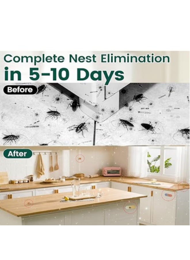 GREEN KILLER Cockroach killer bait - Hotel kitchen pest control product - Household indoor cockroach pesticide bait (10g per pack) - Image 3
