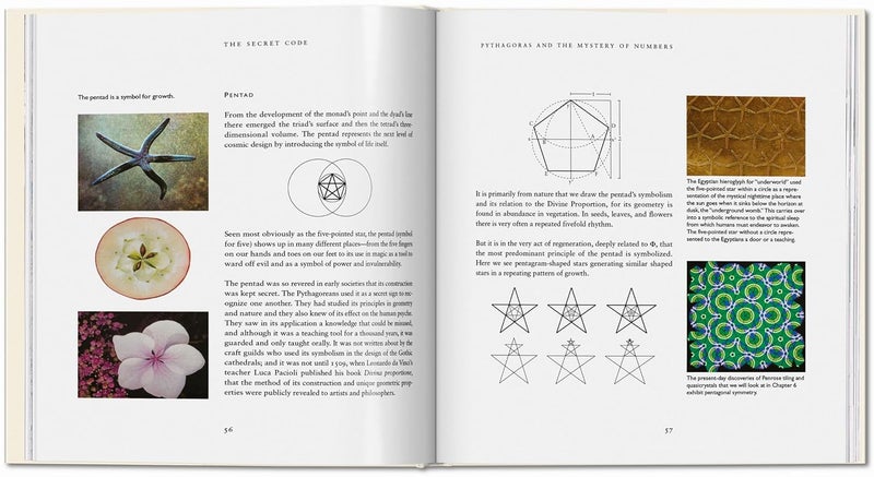 TASCHEN The Secret Code - Image 4