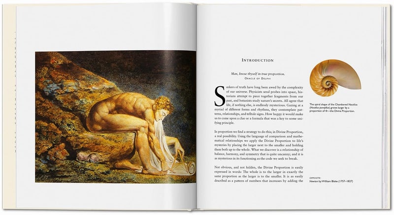 TASCHEN The Secret Code - Image 2