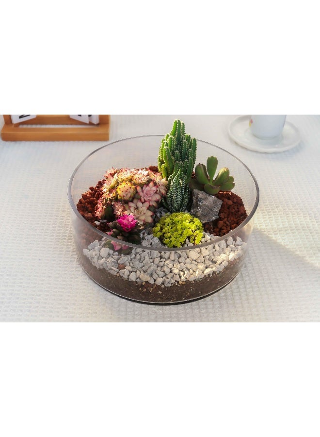 CYS EXCEL Extra Wide Glass Cylinder Vase 10 Inch Diameter x 4 Inch Height Large Clear Flower Vase for Centerpieces Floating Candles Terrariums or Succulents - Image 5