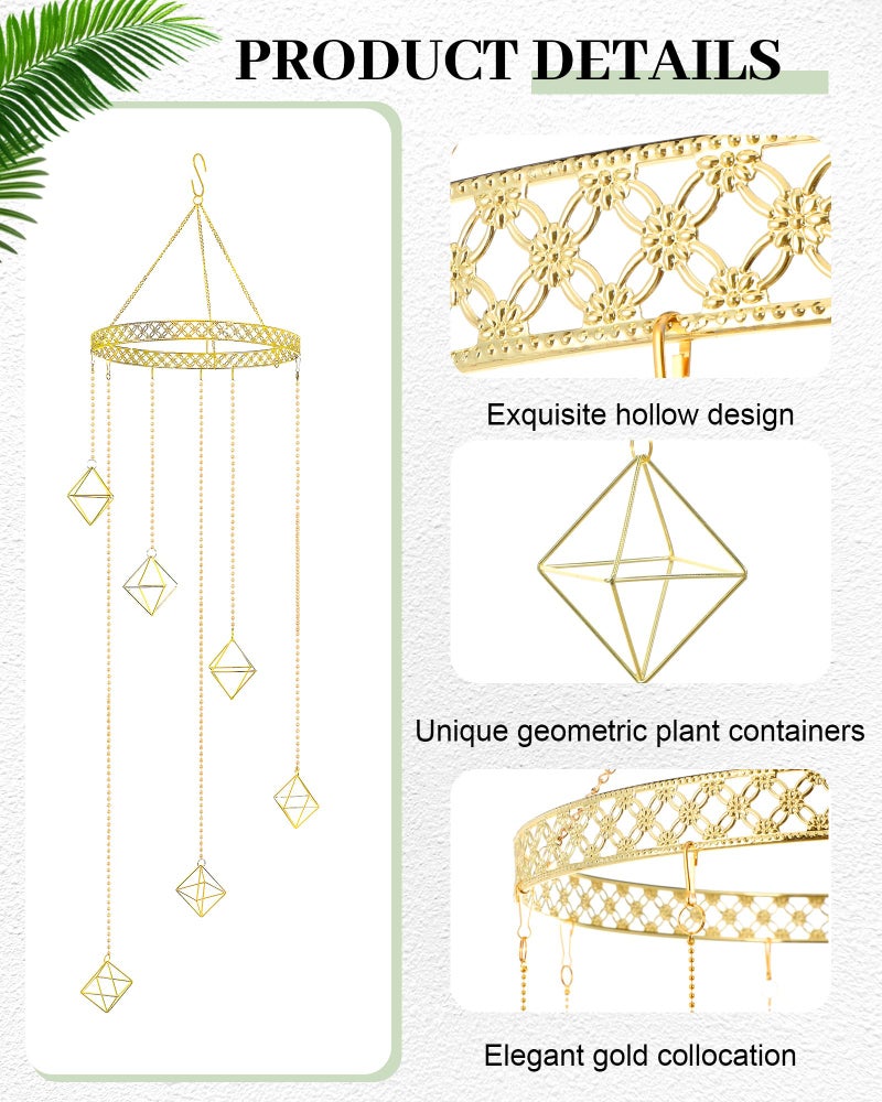 Willinglong 6 Pcs Hanging Air Plant Holder, Gold Tillandsia Air Plant Holders Unique, Airplants Live Holders, Air Fern Macrame Display for Indoor Home Office Ceiling Wall Decor - Image 3