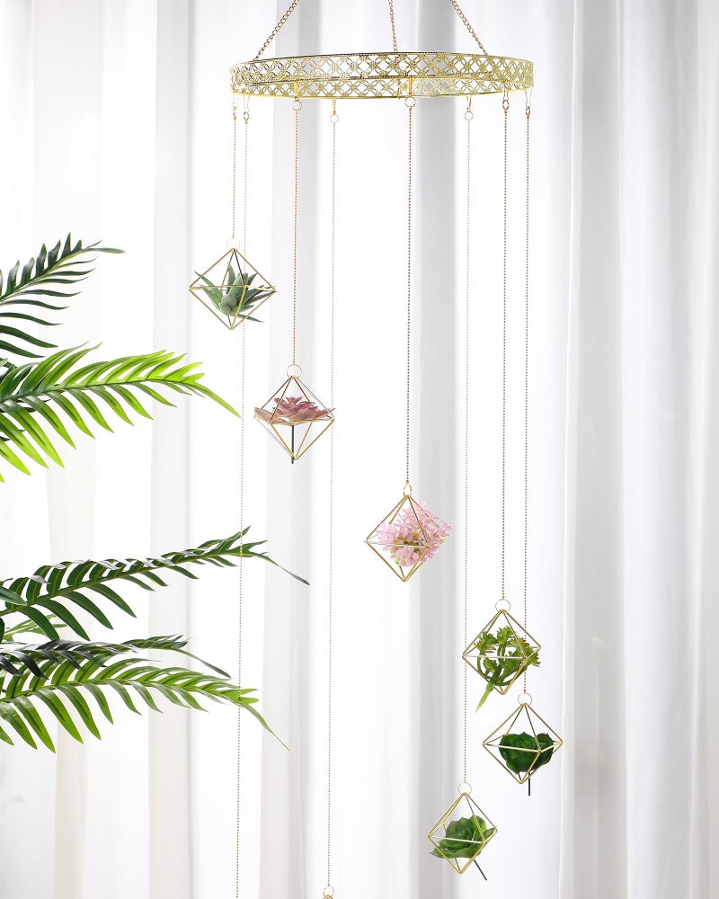 Willinglong 6 Pcs Hanging Air Plant Holder, Gold Tillandsia Air Plant Holders Unique, Airplants Live Holders, Air Fern Macrame Display for Indoor Home Office Ceiling Wall Decor - Image 4