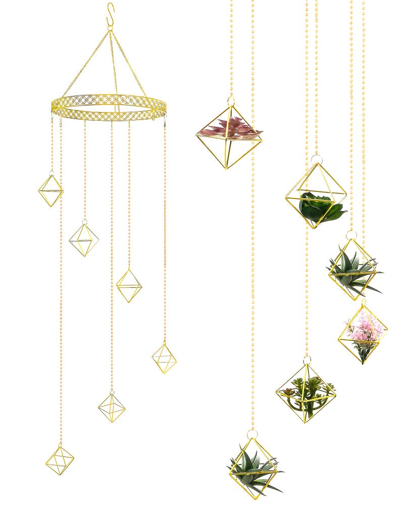 Willinglong 6 Pcs Hanging Air Plant Holder, Gold Tillandsia Air Plant Holders Unique, Airplants Live Holders, Air Fern Macrame Display for Indoor Home Office Ceiling Wall Decor - Image 1