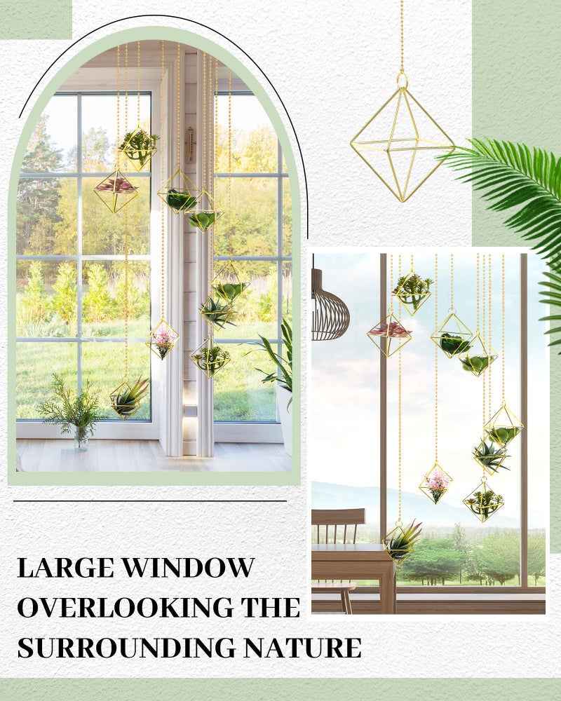 Willinglong 6 Pcs Hanging Air Plant Holder, Gold Tillandsia Air Plant Holders Unique, Airplants Live Holders, Air Fern Macrame Display for Indoor Home Office Ceiling Wall Decor - Image 5
