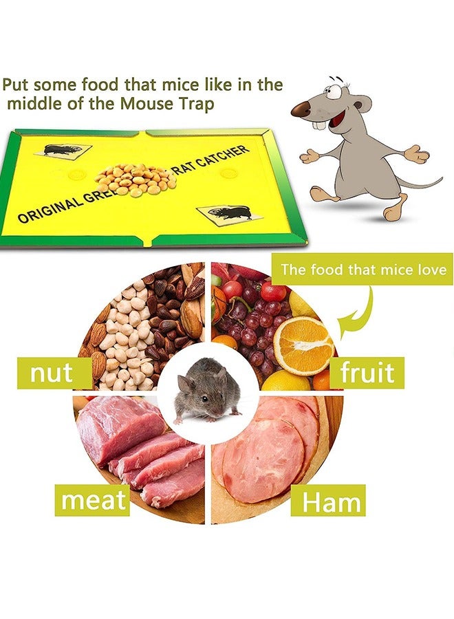 Generic 12 Pack Large Mouse Glue Traps  - Image 5