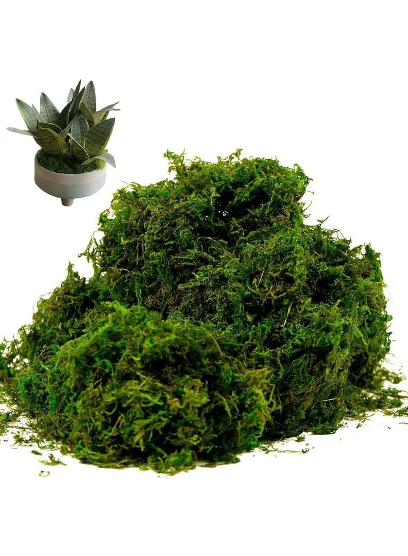 LINGWEI 400g Artificial Moss Fake Green Grass for Centerpieces Home Kitchen Garden Decor - Image 2