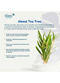 Gelair Gelair Health-e SPLIT - Air Fresheners With Tea Tree and Ocean Fresh  - Image 3