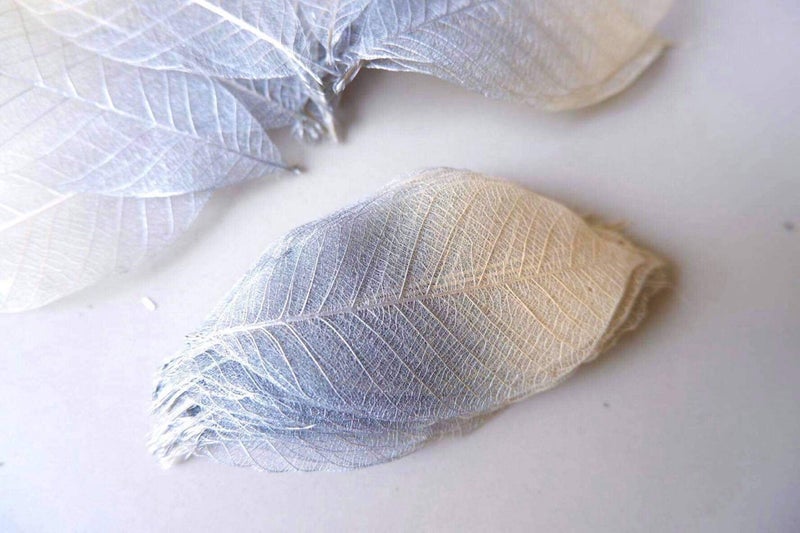 Thai Decorated 100 Pcs Skeleton Leaves Silver/Natural Color Two Tone Rubber Tree Natural Scrapbooking Craft DIY Card Wedding Small Leaves (Silver/Natural) - Image 2