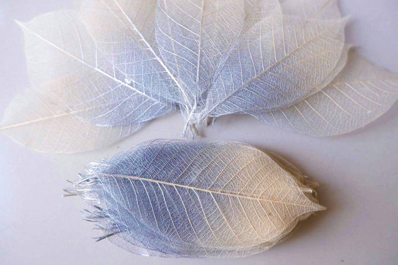 Thai Decorated 100 Pcs Skeleton Leaves Silver/Natural Color Two Tone Rubber Tree Natural Scrapbooking Craft DIY Card Wedding Small Leaves (Silver/Natural) - Image 1