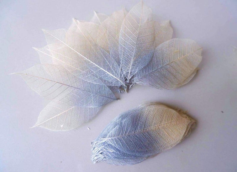 Thai Decorated 100 Pcs Skeleton Leaves Silver/Natural Color Two Tone Rubber Tree Natural Scrapbooking Craft DIY Card Wedding Small Leaves (Silver/Natural) - Image 3