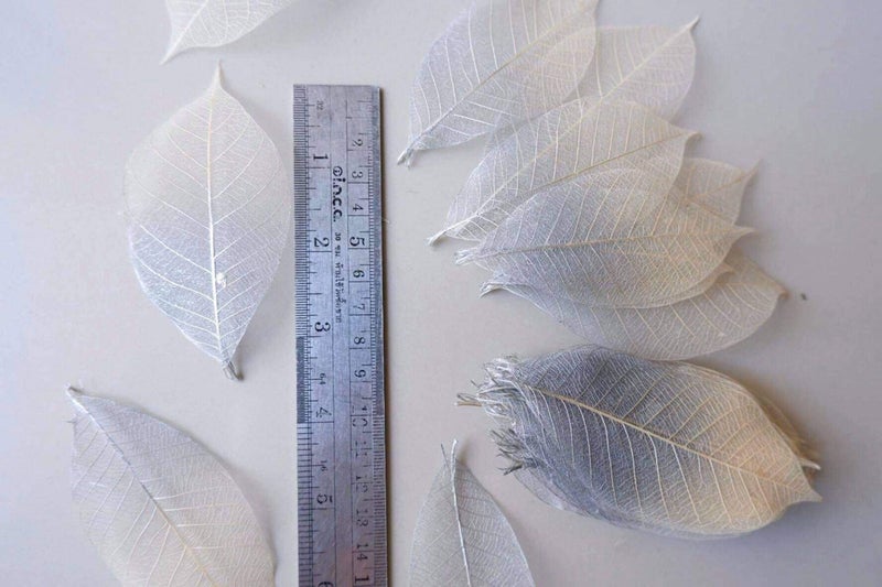 Thai Decorated 100 Pcs Skeleton Leaves Silver/Natural Color Two Tone Rubber Tree Natural Scrapbooking Craft DIY Card Wedding Small Leaves (Silver/Natural) - Image 4