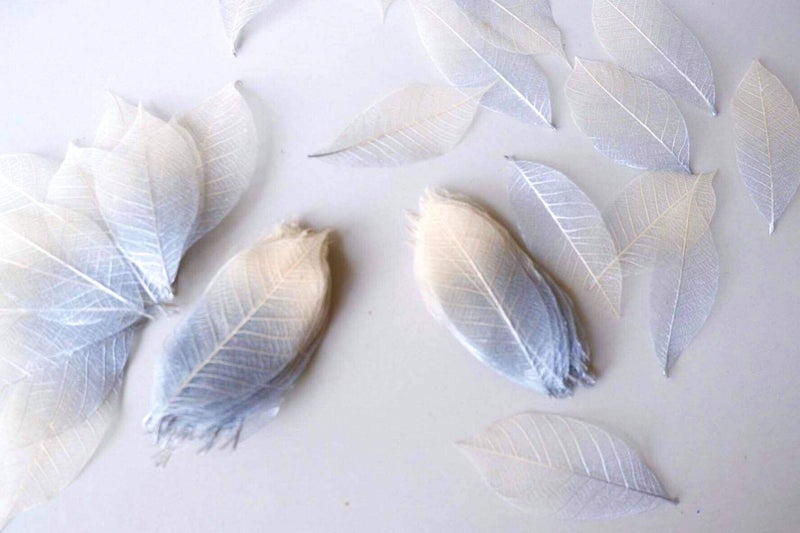 Thai Decorated 100 Pcs Skeleton Leaves Silver/Natural Color Two Tone Rubber Tree Natural Scrapbooking Craft DIY Card Wedding Small Leaves (Silver/Natural) - Image 5