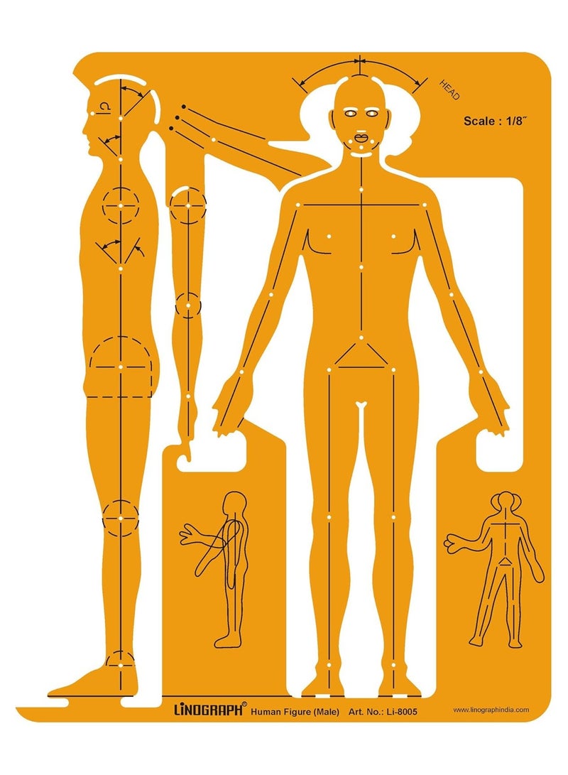 Human Figure Template - Acrylic