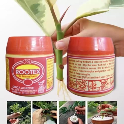 Petalzone Rootex | Fast Root Dry Powder Rooting Hormone for All Plants Grow Nutritions | Pack of 1 | 30 gram (ROOTEX NO.3) - Image 3