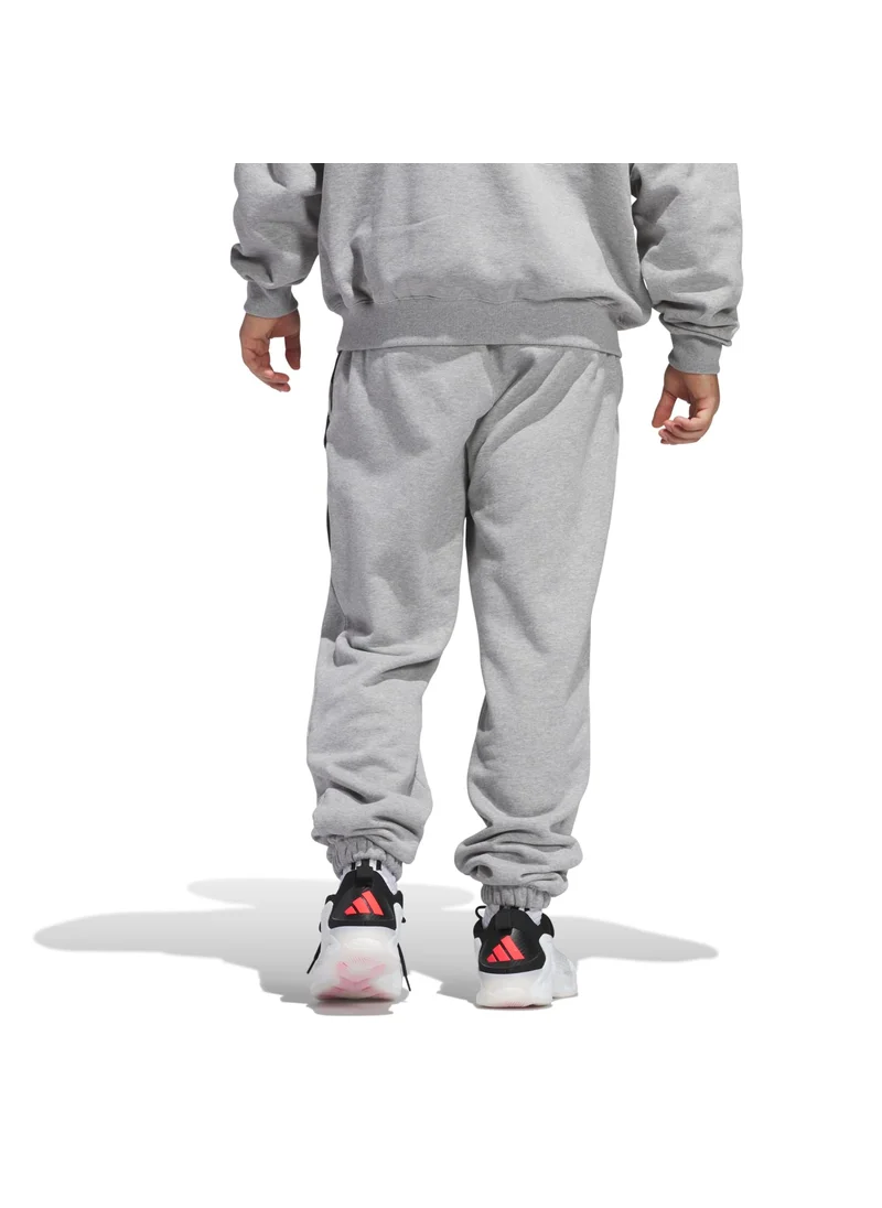 Adidas adidas AE FOUN FL PANT Grey Originals Men PANTS