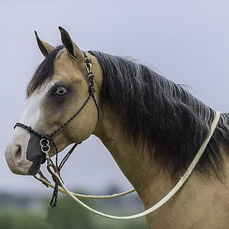 Mustang Bitless Halter Bridle - Image 2