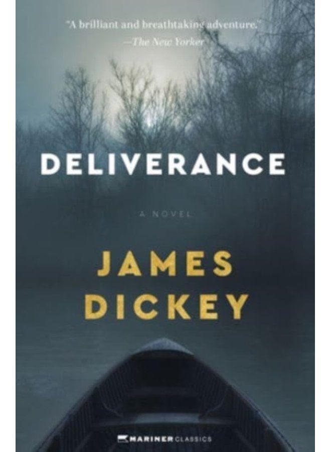 Deliverance A Novel - Paperback