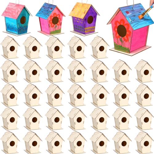 DoubleFill 12 Pcs 63 Wooden Bird Houses Kits Bulk for Kids to Build DIY Unfinished Wood Birdhouses to Paint Wood Arts and Crafts Birthday Gifts for Vbs Crafts Class Parties - Image 1