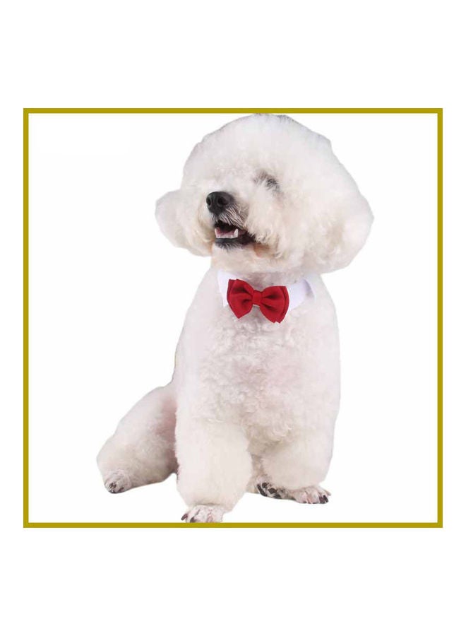 إسكدنيا طوق لطيف وقابل للتعديل بتصميم ربطة عنق بعقدة للحيوانات الأليفة أحمر 10 x 10 x 10سم - Image 3