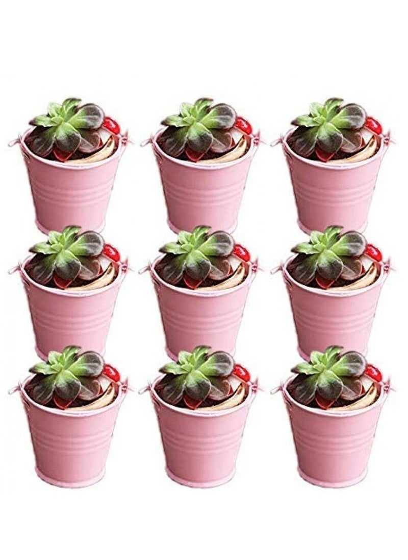 30 Pack Multipurpose Pink Mini Metal Bucket Tin With Sheer Bag Candy Box Buckets Souvenirs Gift Pails for Wedding Favor Party Favor Baby Shower Favor - pzsku/Z876A2E920C5846E8F6ADZ/45/_/1737696915/8047f25b-a8f5-4673-a307-5e2831ed971b