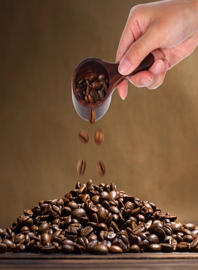 ياردوي مغرفة قهوة خشبية من قطعتين من ياردوي، ملعقة قياس صغيرة لحبوب البن ومسحوق الحليب، مغرفة تقديم للمطبخ، 3.93 × 1.96 × 1.57 بوصة - Image 4