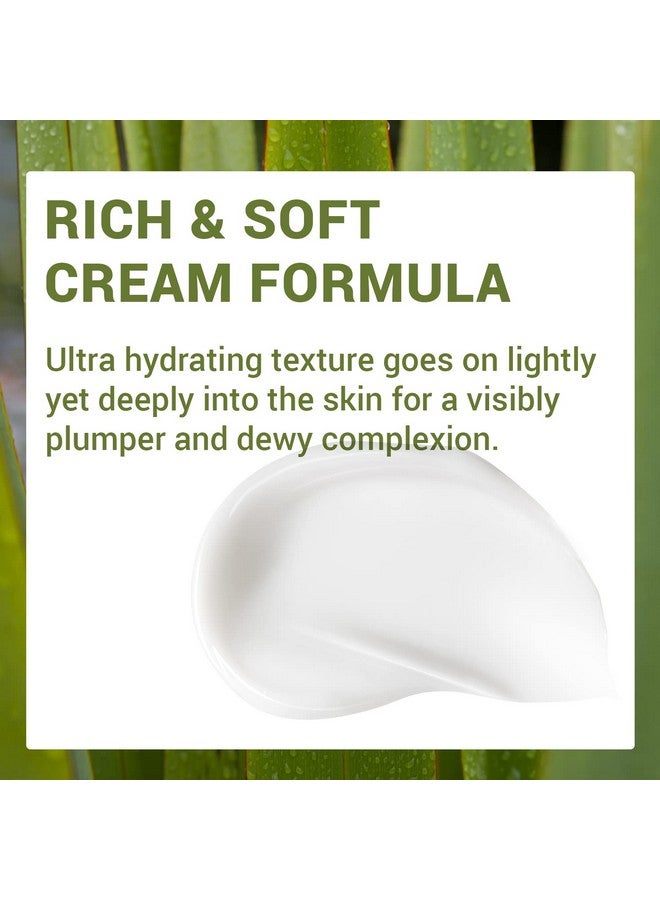 THESAEM Urban Eco Harakeke Deep Moisture Cream 1.69 oz. - Vegan Ultra Moisturizing and Nourishing Day & Night Moisturizer - Firming Healthy Looking Skin - Harakeke Root Extract and Ceramides - Image 4