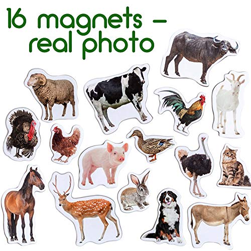 magdum Fridge Magnets for Toddlers - Magdum - 16 Farm Animal Magnets for Refrigerator - Magnetic Animals for Children - Realistic magnets for Kids – Learning Set - Baby Educational Gift - Image 3