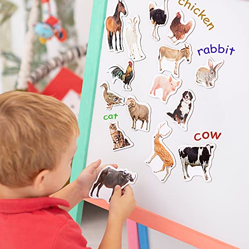 magdum Fridge Magnets for Toddlers - Magdum - 16 Farm Animal Magnets for Refrigerator - Magnetic Animals for Children - Realistic magnets for Kids – Learning Set - Baby Educational Gift - Image 4