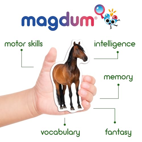 magdum Fridge Magnets for Toddlers - Magdum - 16 Farm Animal Magnets for Refrigerator - Magnetic Animals for Children - Realistic magnets for Kids – Learning Set - Baby Educational Gift - Image 5