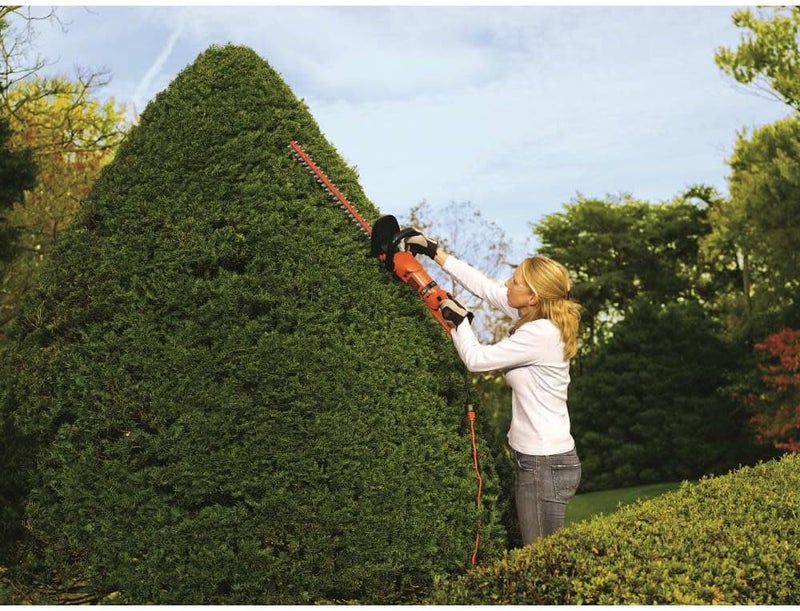 BLACK+DECKER Hedge Trimmer, Rotating Handle, Dual Blade Action Blades, 3.3-Amp, 24-Inch (HH2455) - Image 2