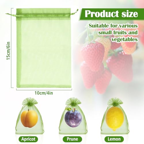 FloraSea 50 PCS 4X6 inches Fruit Protection Bags Fruit Bags for Fruit Trees Green Netting Fruit Cover Bags Drawstring Mesh Fruit Protectors Pest Barrier for Fruit Trees Veggies Garden - Image 3