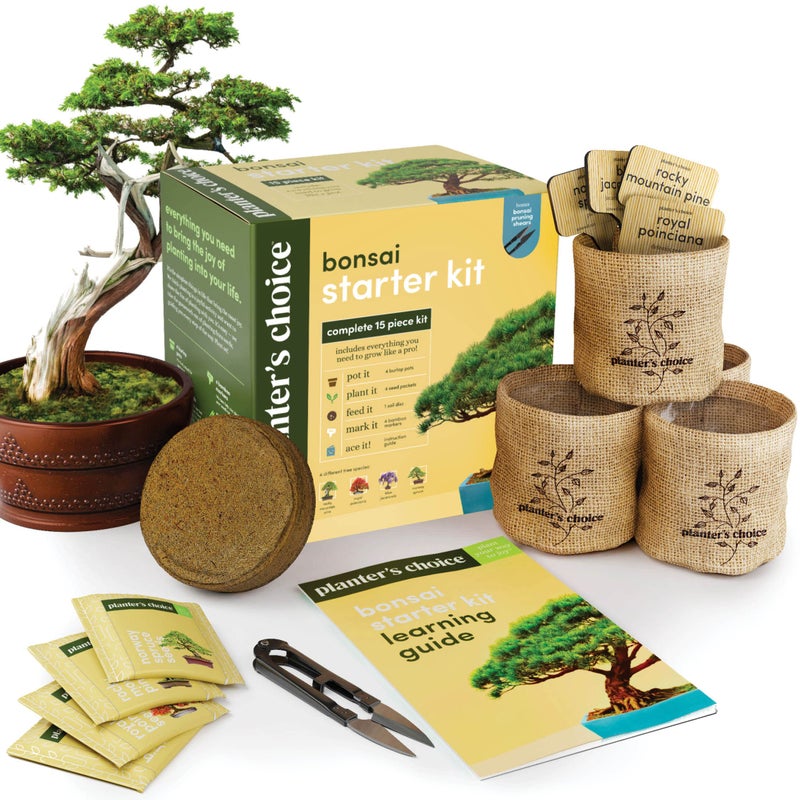 Planters' Choice Bonsai Starter Kit - Gardening Easter Gift for Women & Men - Bonsai Tree Growing Garden Crafts Hobby Kits for Adults, Unique DIY Hobbies for Plant Lovers - Unusual Christmas Gifts Ideas - Image 1