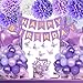 Aurasys Purple Birthday Decorations Happy Birthday Party Decorations with Happy Birthday Banner Butterfly Purple Balloons Pom Poms Foil Fringe Curtain for Party Birthday Decor - Image 3