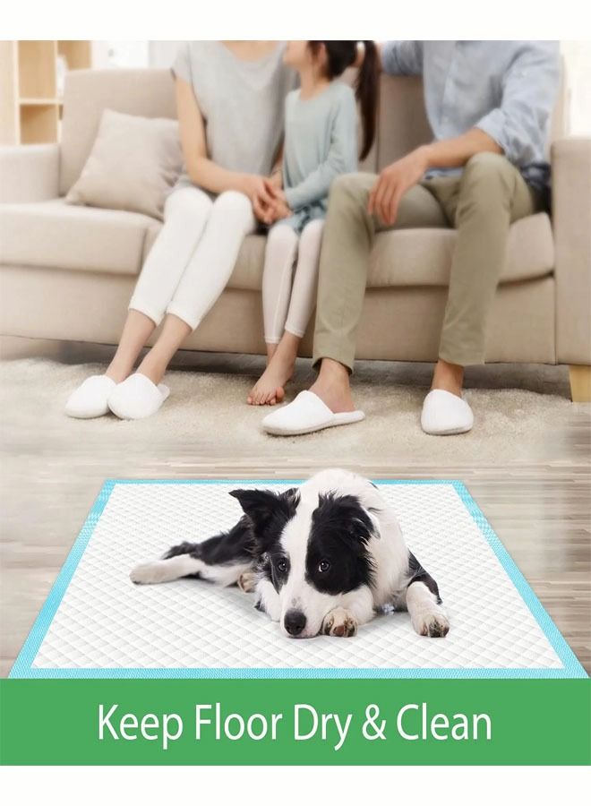 Generic 100 Pcs Dog Pads Thicker Pet Training and Puppy Pads Super Absorbent Pee Pads for Dogs Leak Proof Dog Potty Training Pads for Puppies Cats Rabbits Pet Pee Pads  - Image 3