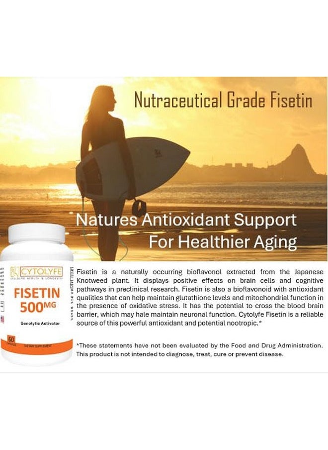 CYTOLYFE Fisetin 500Mg 98% Pure Fisetin 500Mg Therapeutic Dose 60 Capsules Senolytic Activator Anti-Aging Life Extension  - Image 2