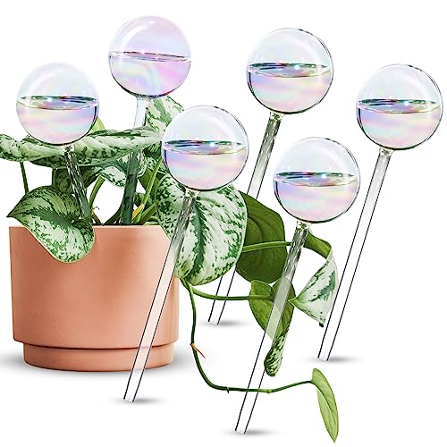 Tomorotec [6 PCS] Light Iridescent Rainbow Gradient Color Clear Glass Self-Watering System Spikes, Automatic Plant Waterer Bulbs - Image 1