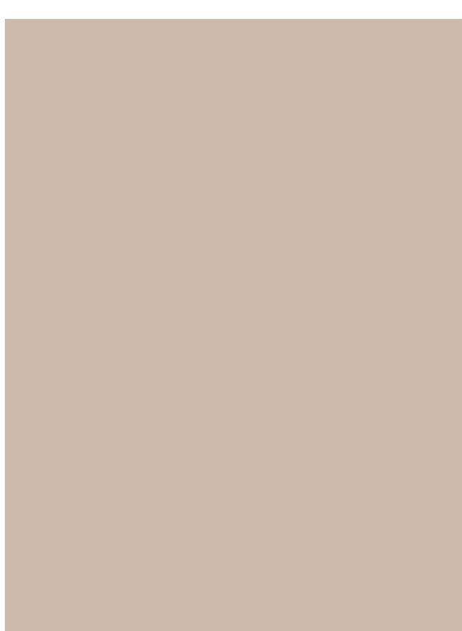 Jazeera Paints Interior Wall Paint Silk (Color:Cacao ) 3 Liters - Image 3