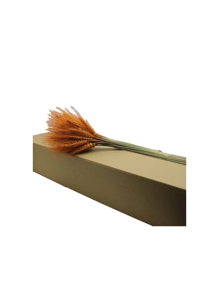 Natural Dried Wheat Grass Bundle Artificial Wheat Dried Flowers (Orange, 50) - Image 5